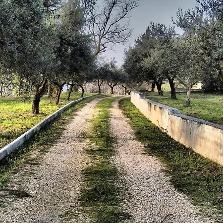 Casa Berardi Residenza Storica אכסניה *